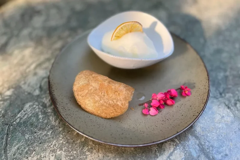 Glace, sorbet fait Maison